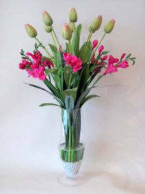 db_pinkgreen_tulips_and_pink__freeshia