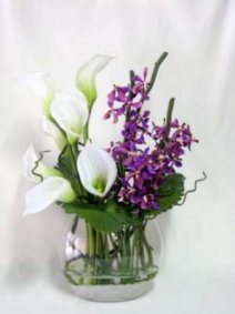 db_purple_orchids_and_arum