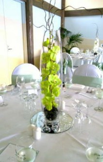 green_phaelenopsis_in_bullet_vase1