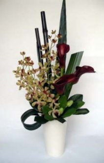 db_orchid_and_arum_lillys