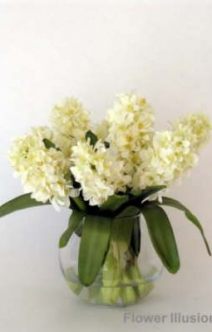 db_white_hyacinth