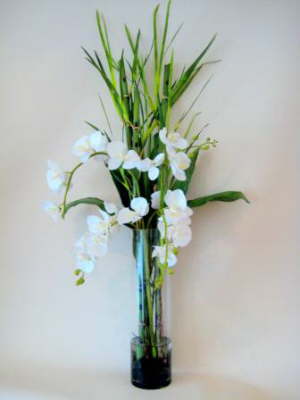 db_flower_illusions_paelenosis_orchids_and_bamboo