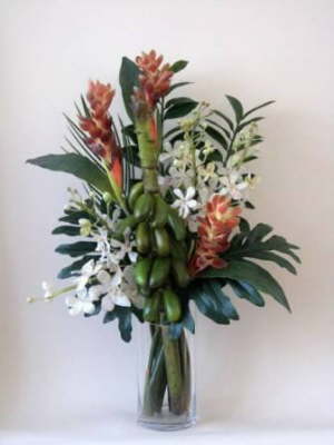 db_orchids_and_ginger