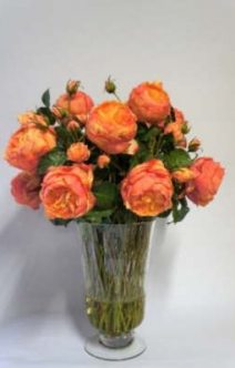 db_Flower_Illusions_orange_david_austin_roses