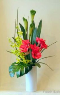 db_amaryllis__orchids_and_green_arum