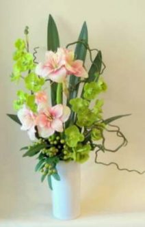 db_amaryllis_and_orchids
