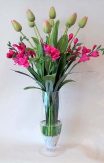 db_pinkgreen_tulips_and_pink__freeshia