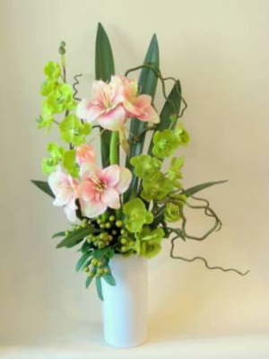 db_amaryllis_and_orchids
